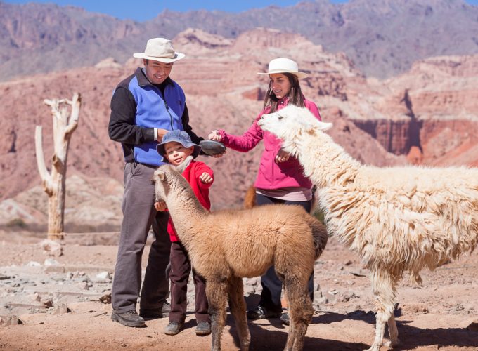 SALTA en 5 DIAS