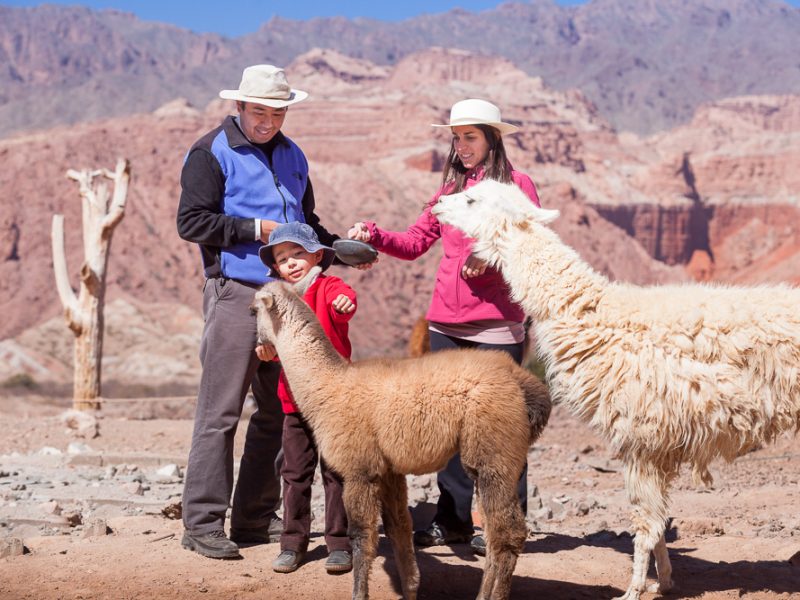 SALTA en 5 DIAS