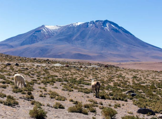 SALTA PANORAMICA en 3 DIAS
