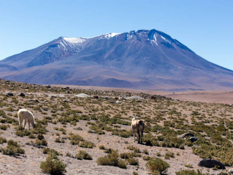 SALTA PANORAMICA en 3 DIAS